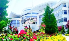 В Туркменистане создано новое гидрофобное покрытие для строительства