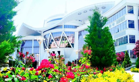 В Туркменистане создано новое гидрофобное покрытие для строительства