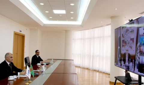 Замглавы МИД Туркменистана выступил на заседании ЭКО