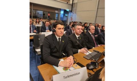 Делегация Туркменистана участвовала в работе Парламентской ассамблеи ОБСЕ