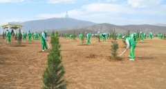 В Туркменистане стартовал ряд экологических акций