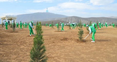 В Туркменистане стартовал ряд экологических акций
