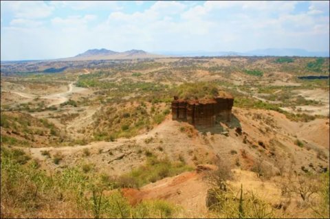 Учёные установили способность Homo erectus адаптироваться к пустынному климату