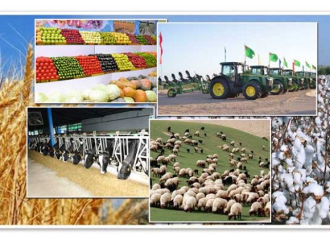 Основа экономического благополучия Туркменистана