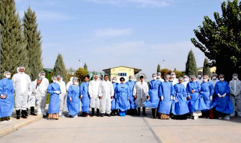 В Туркменистане стартовал тренинг ФАО по профилактике бруцеллёза
