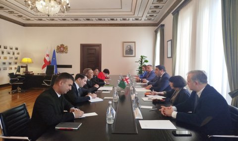 Парламенты Туркменистана и Грузии укрепляют межпарламентский диалог