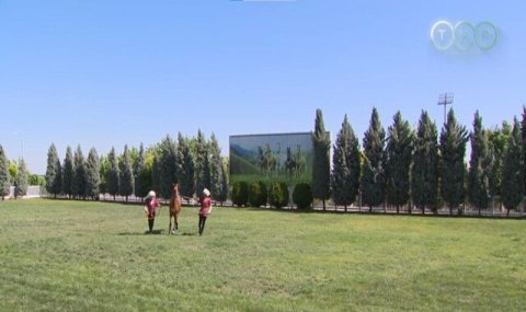 Определены финалисты конкурса на самого красивого ахалтекинского скакуна года