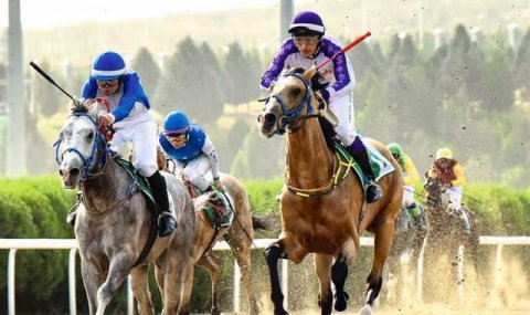 Ахалтекинский скакун олицетворяет путь Туркменистана к новым высотам