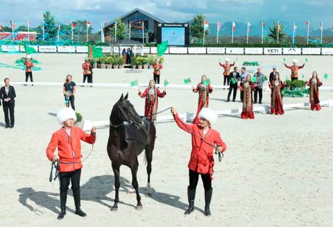 Герой-Аркадаг принял участие в чемпионате по конному спорту в Нидерландах