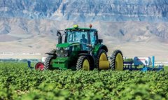 В Туркменистане зафиксирован рост сельхозпроизводства