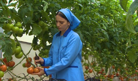 Балканский велаят демонстрирует высокий производственный старт года