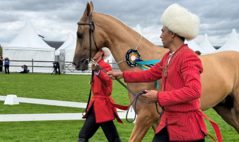 Туркменские ахалтекинцы завоевали шесть наград на чемпионате в Нидерландах