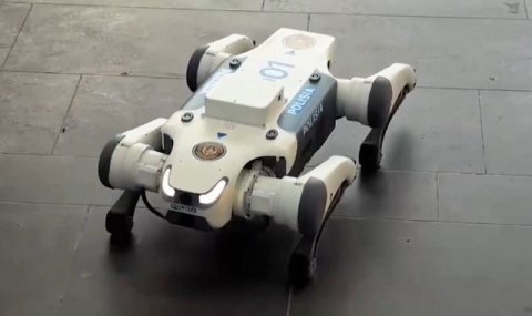 В Астане для охраны порядка в торговых центрах и на вокзалах используют роботов-собак