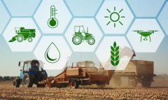 Производство агропродукции в Туркменистане демонстрирует рост