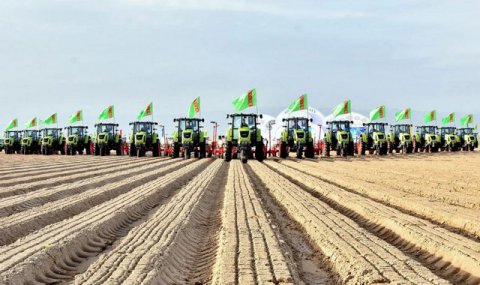 Хяким Ахалского велаята Туркменистана доложил о ходе сельхозкампаний