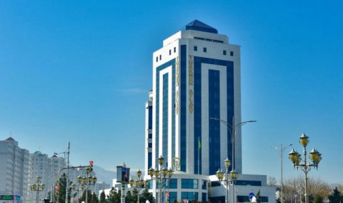 Туркменские специалисты осваивают современные подходы к лечению лошадей