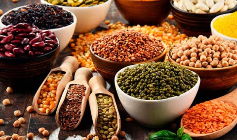 Агропромышленный комплекс Туркменистана внедряет инновации и научные подходы